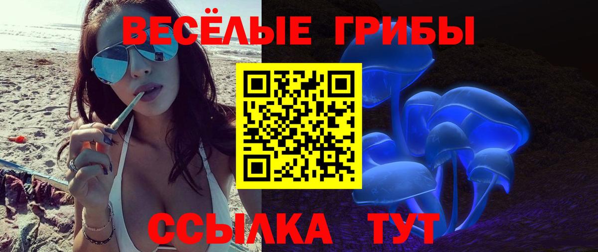 Галлюциногенные грибы мухоморы  Галлюциногенные грибы мицелий  Вход с VPN  Знаменск 