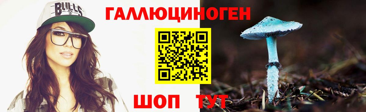 Галлюциногенные грибы прущие грибы Знаменск